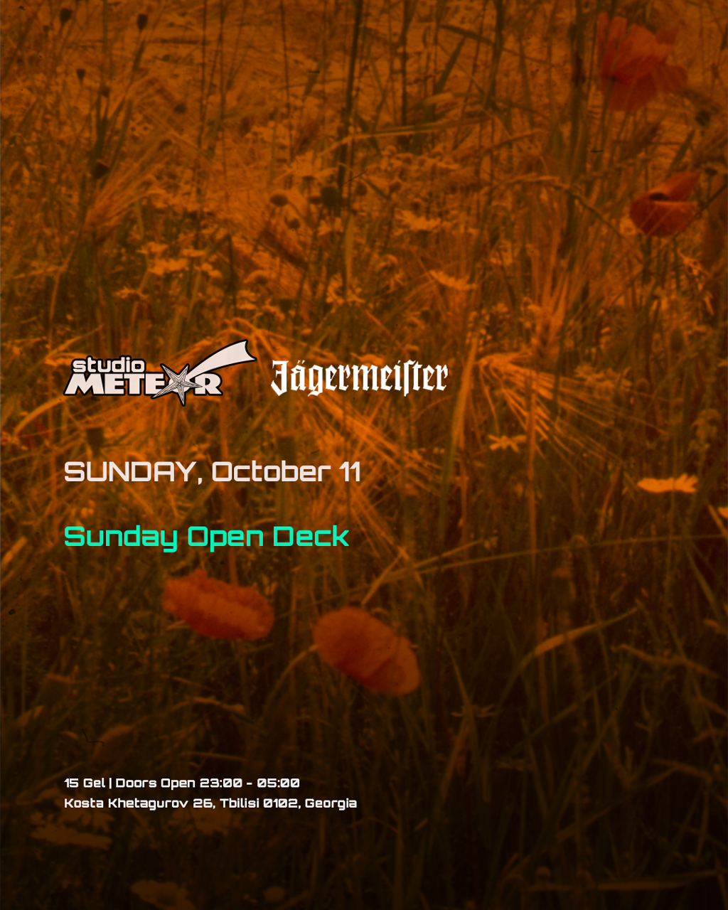 SUNDAY OPEN DECKS