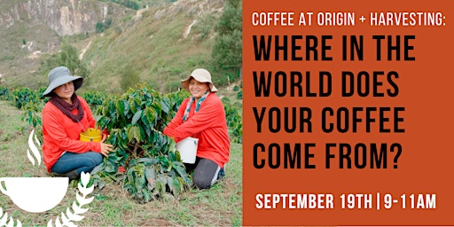 Where in the World Does Your Coffee Come From?