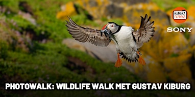 Photowalk: Wildlife Walk met Gustav Kiburg