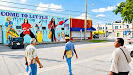 The Pearl of Miami Little Haiti Tour