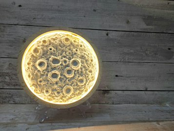 Fall Harvest Light Up Moon - September 24th Woods Boss Brewing