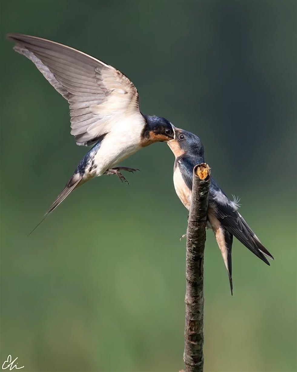 Master Your Camera Controls and Composition in the Field - Photo Workshops