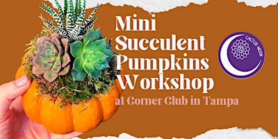 'Lil Succulent Pumpkins Workshop at Corner Club