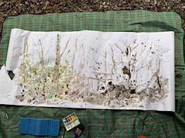Winter Forest Bathing and Creative Art Workshop: Journals and Drawing