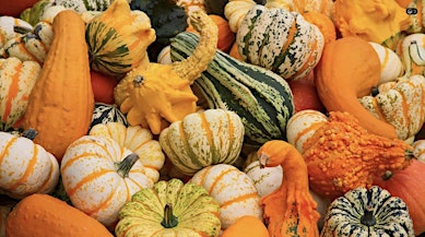 B*TCH & STITCH HALLOWEEN QUIZ SPECIAL | Manchester Wool & Yarn