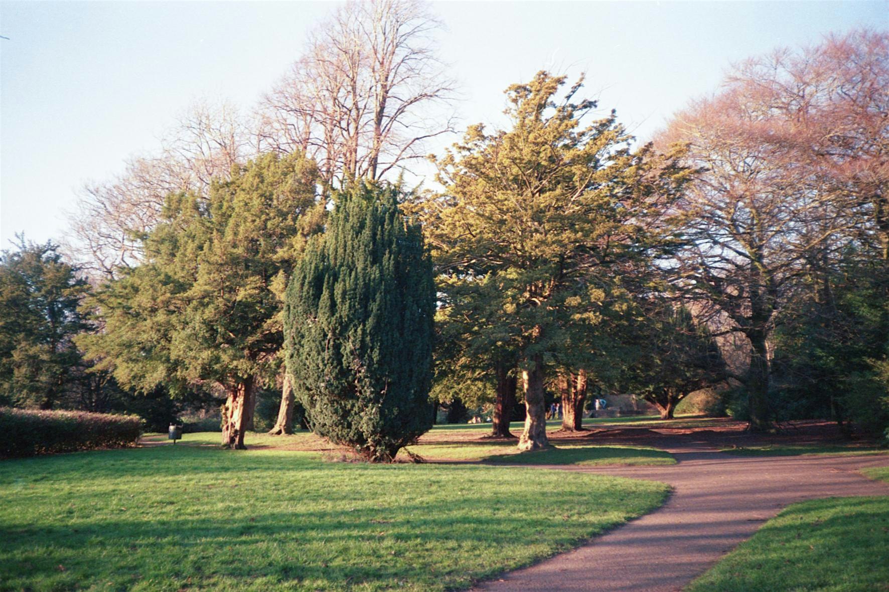 Photo Walk Glasgow Southside 18/10