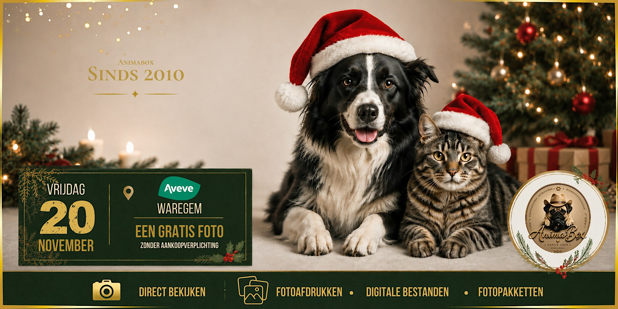 Aveve Waregem - AnimaBox fotosessie