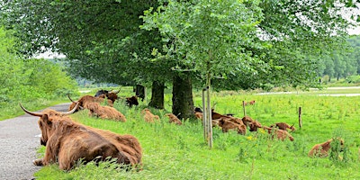 Runderwandeling - zaterdag 12 sept. 13.30 uur in  Broekpolder Vlaardingen