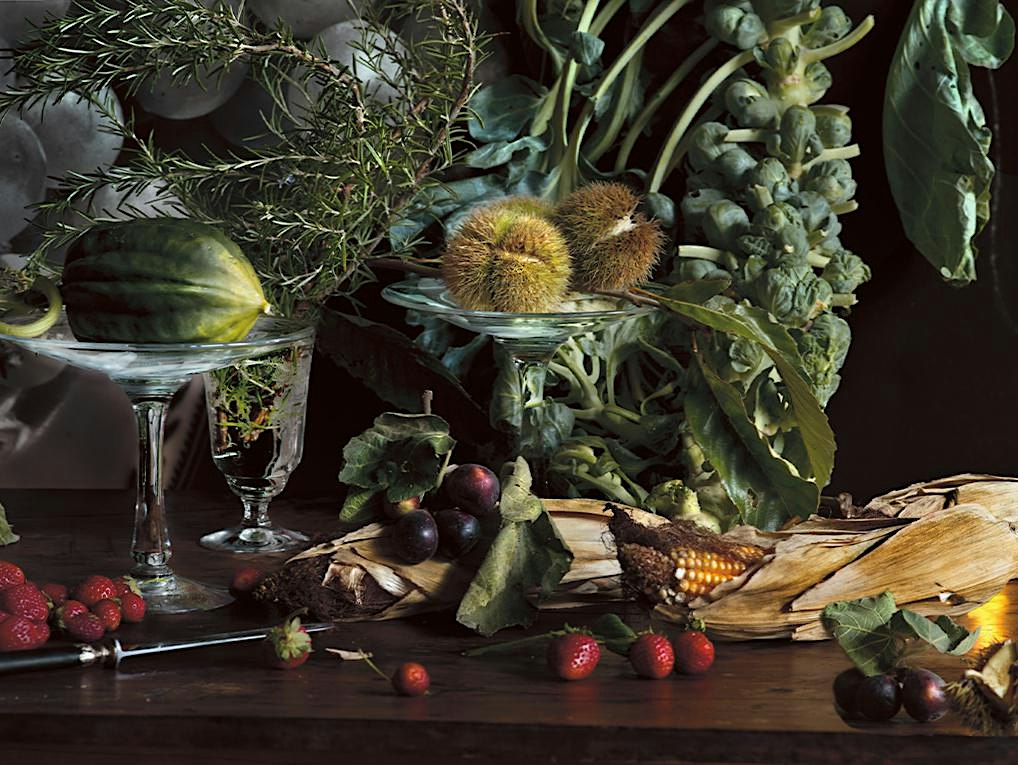 Kuratorinnen-Führung Vera Mercer "still life - life still"
