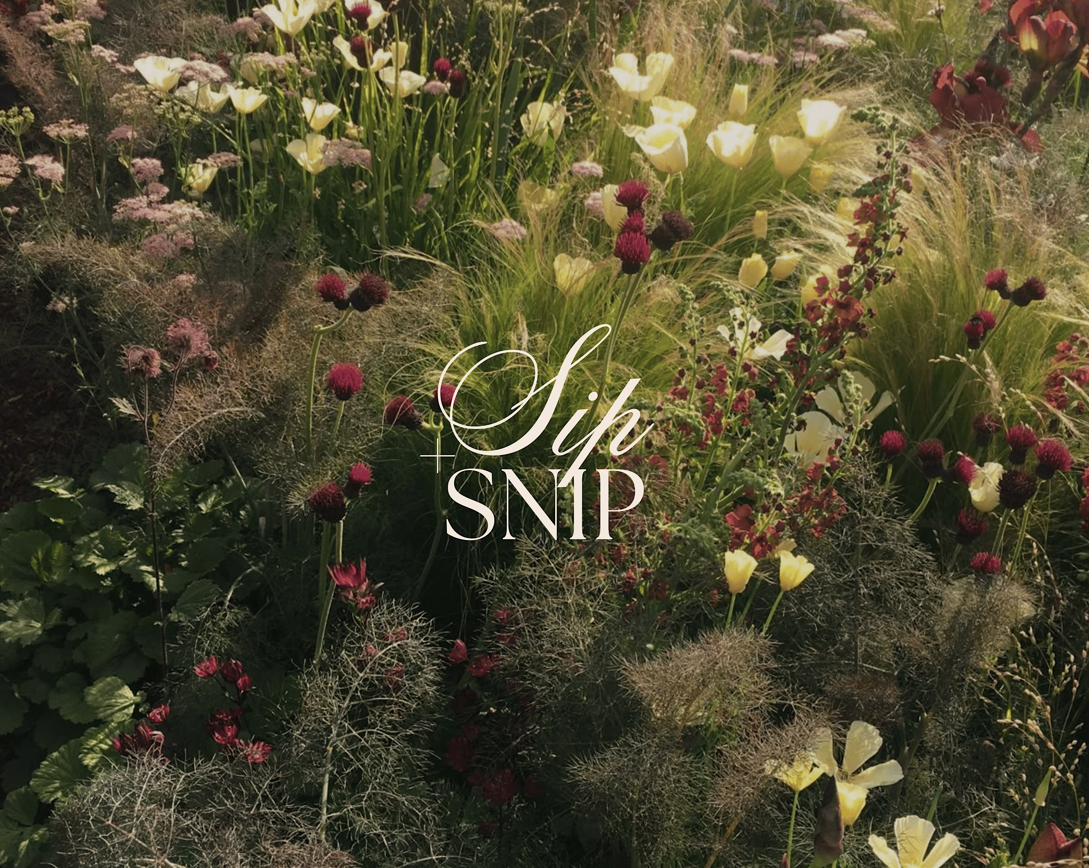 Sip & Snip Workshop - Fall Florals
