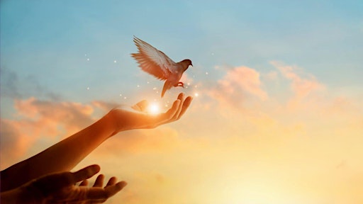 SMETTETE DI PENSARE! CALMATE LA MENTE E INDIRIZZATELA VERSO PENSIERI POSITI