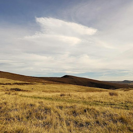 Why Not Glossop? Wilding the Dark Peak