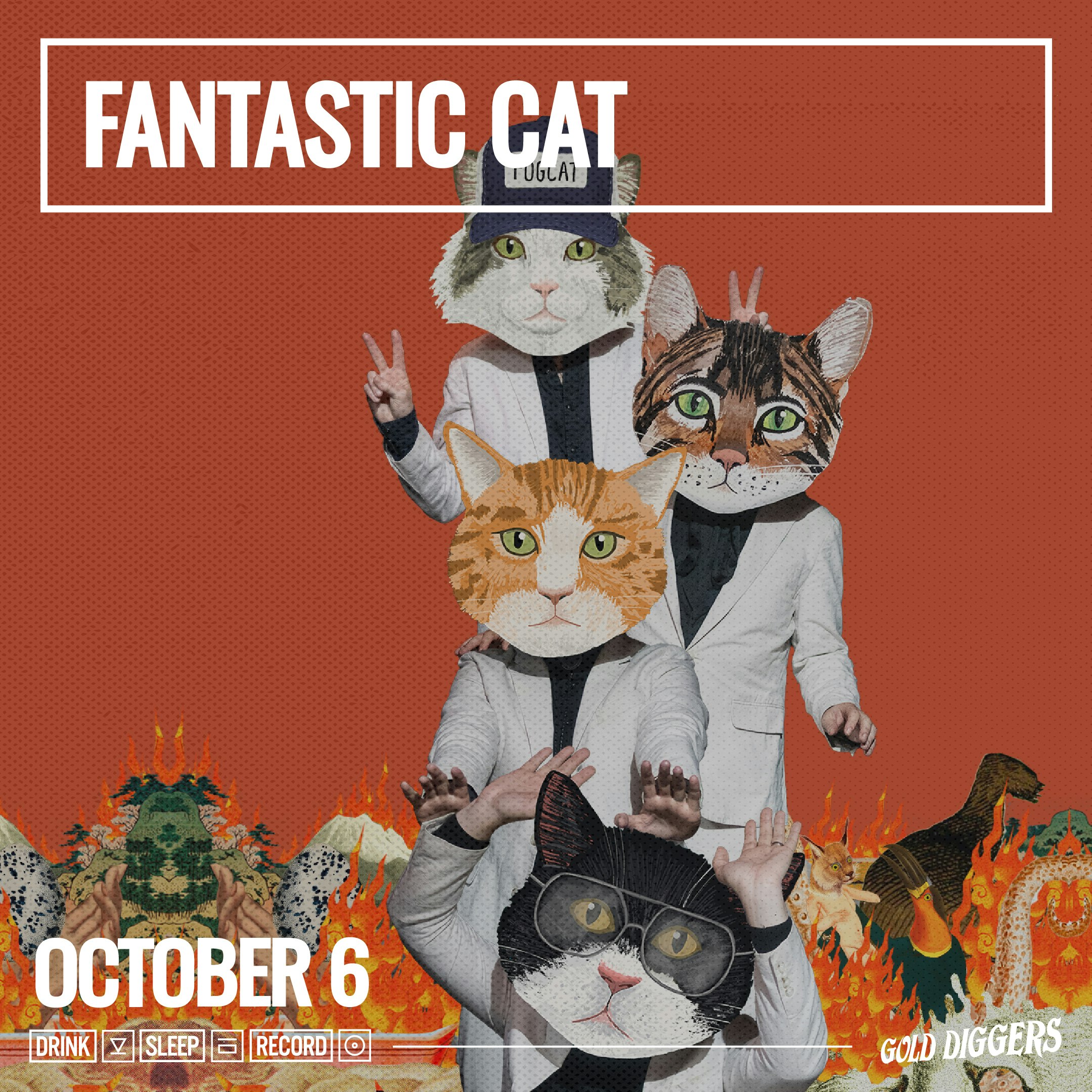 Fantastic Cat, Matt Sucich
