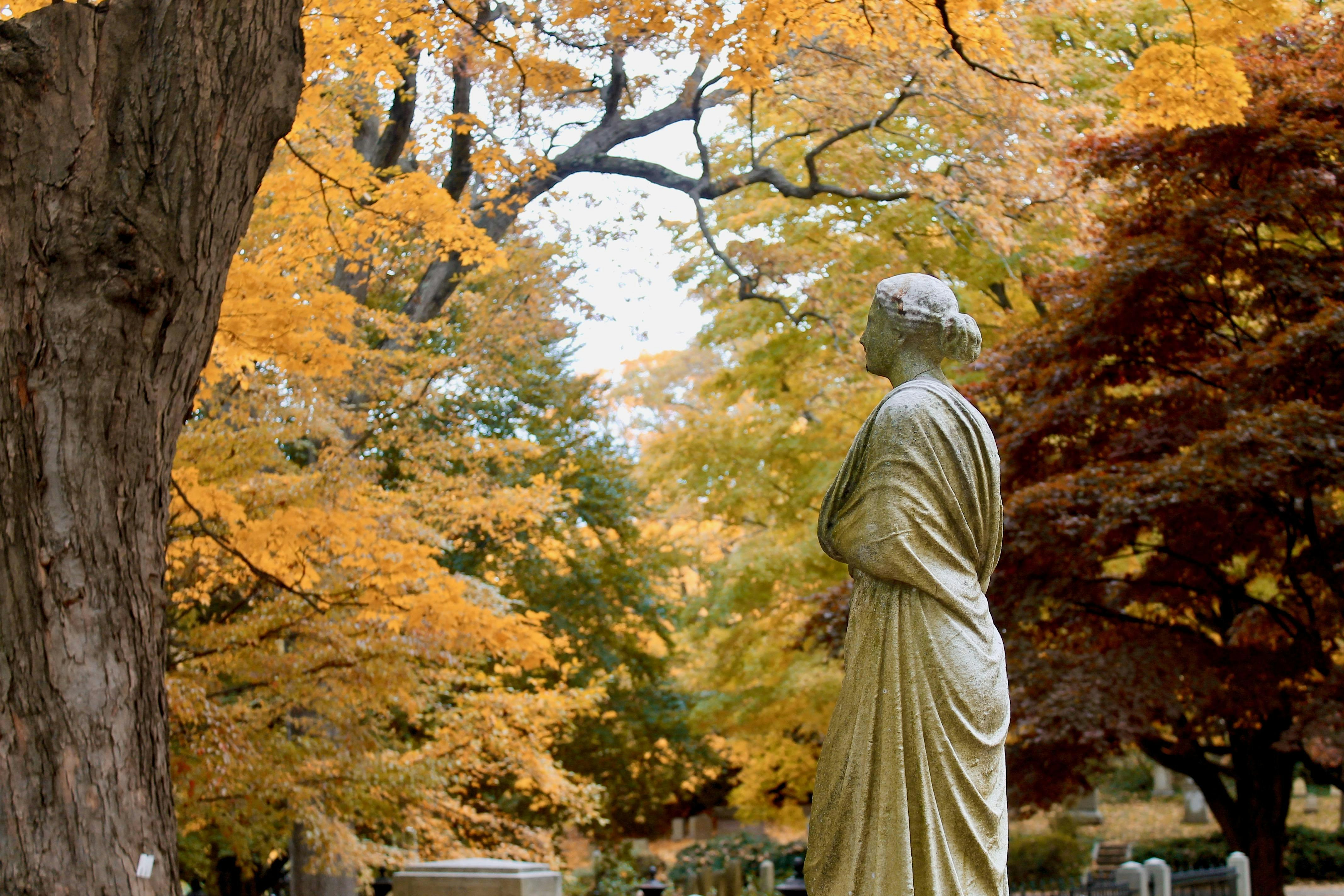 Nature and Mount Auburn