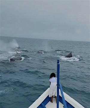 Whale Whispering in Berlin:  Talk/Concert + Sacred Gathering by the River