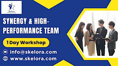 Team Synergy for Success 1 Day Training – Dallas, TX
