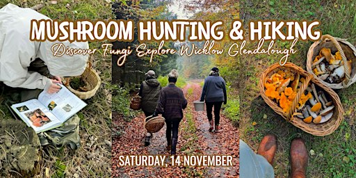 Mushroom Hunting & Hiking in Glendalough