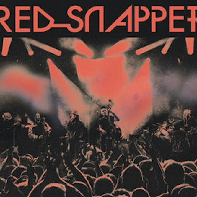 RED SNAPPER