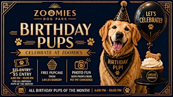 Let’s Celebrate Our Birthday Pups at Zoomies!