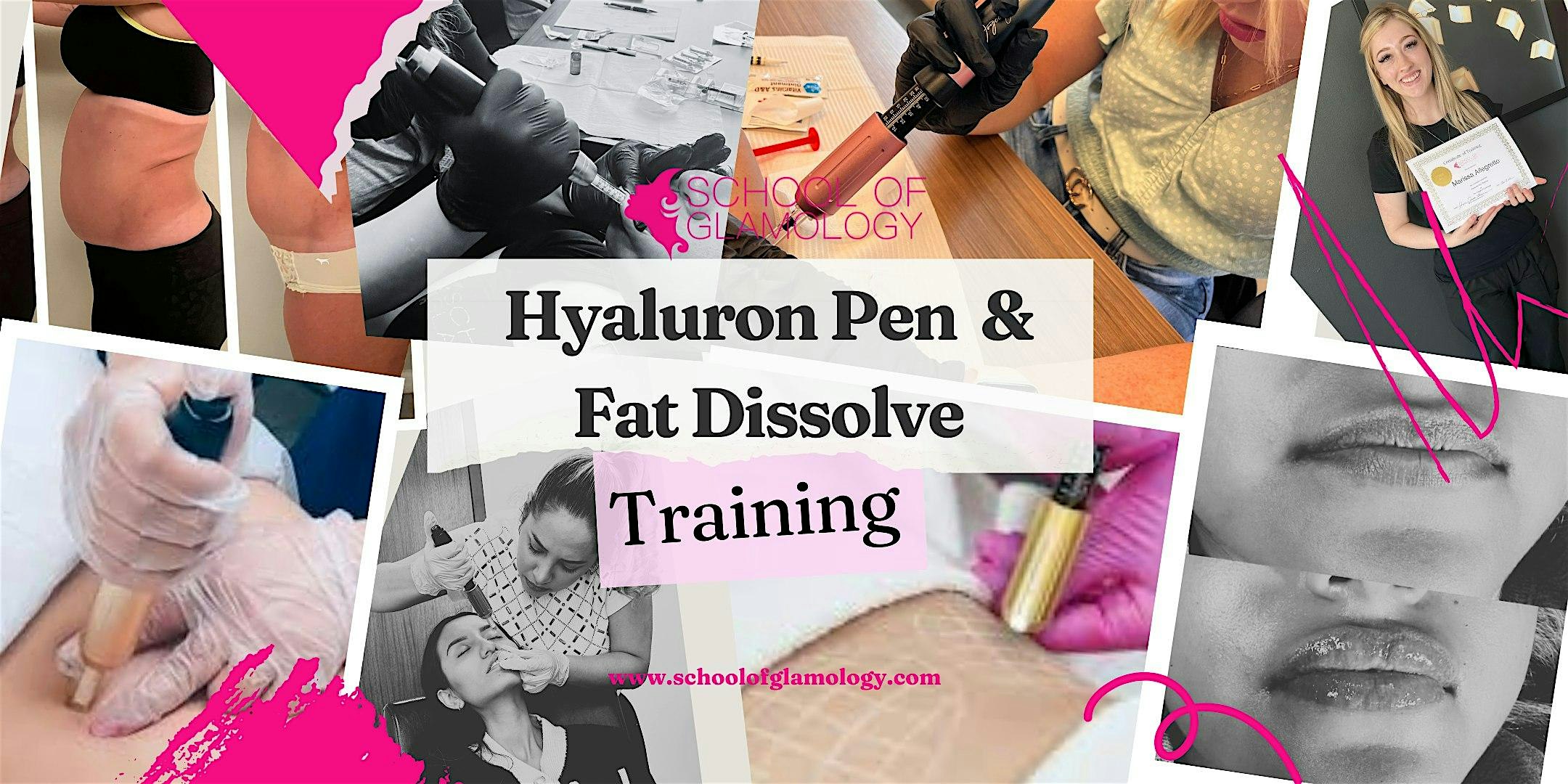 Marietta| Hyaluron Pen  & Fat Dissolve Training |School of Glamology