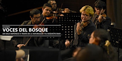 Concierto Voces del Bosque de la Orquesta Sinfónica UNIACC