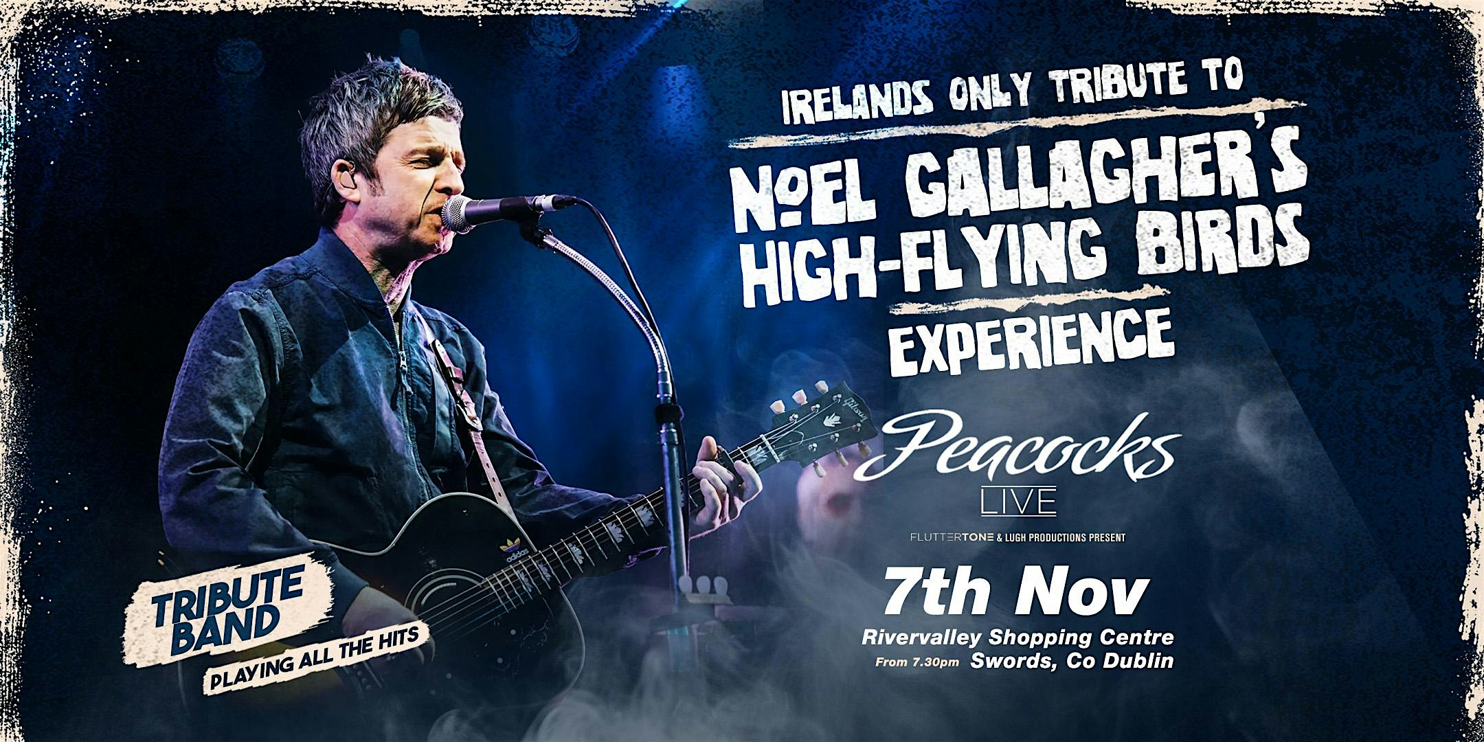 Noel Gallagher Experience, with Council Skies, Swords, Dublin