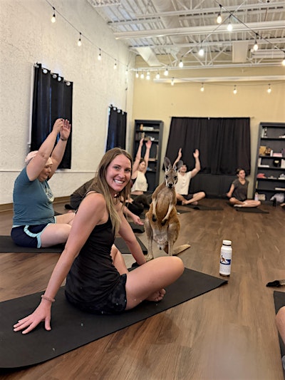 Kangaroo Yoga
