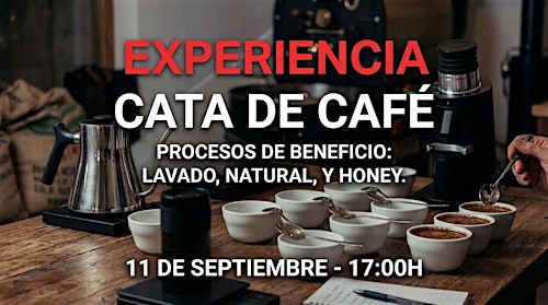 Experiencia de Cata de Café: Procesos Lavado, Natural y Honey