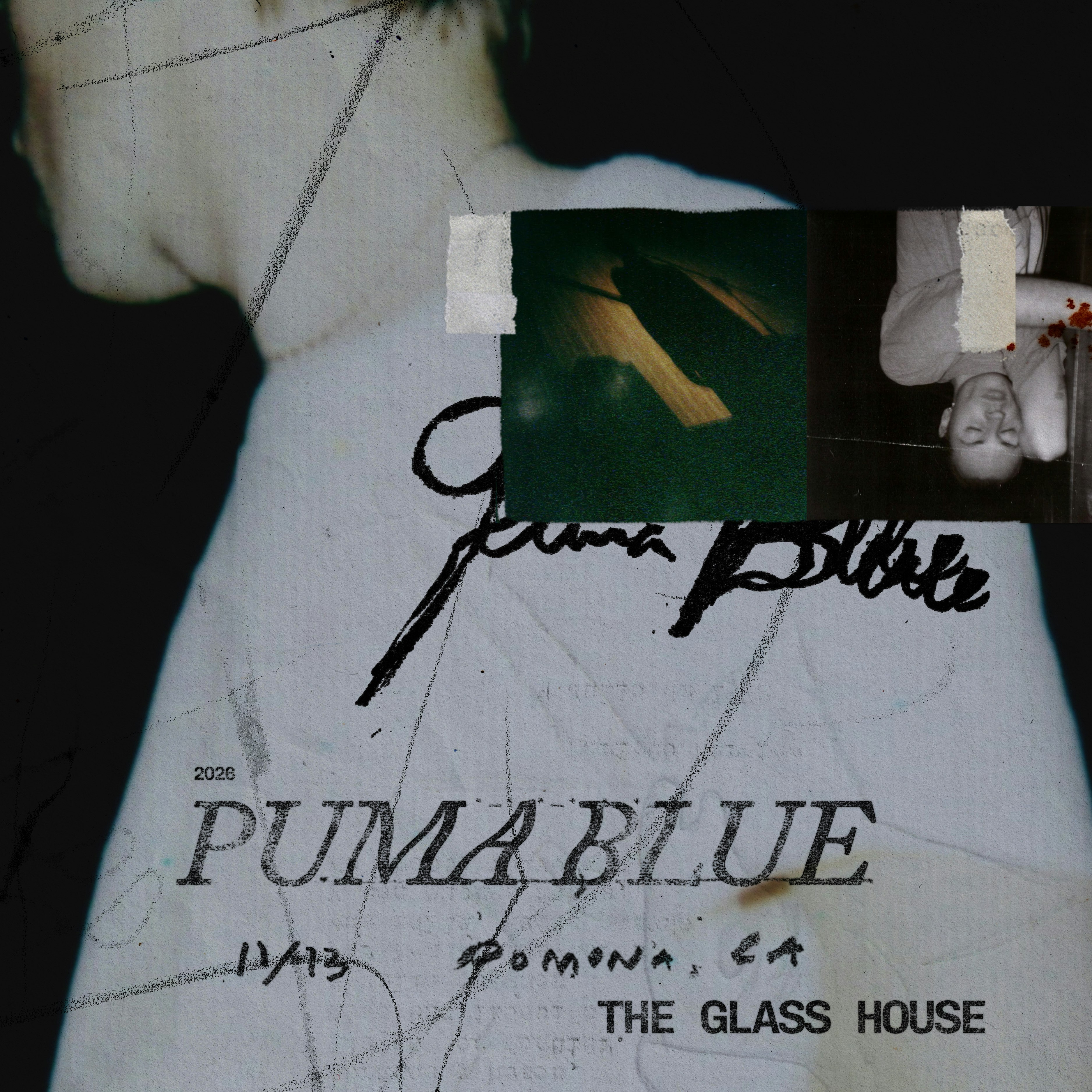 Puma Blue