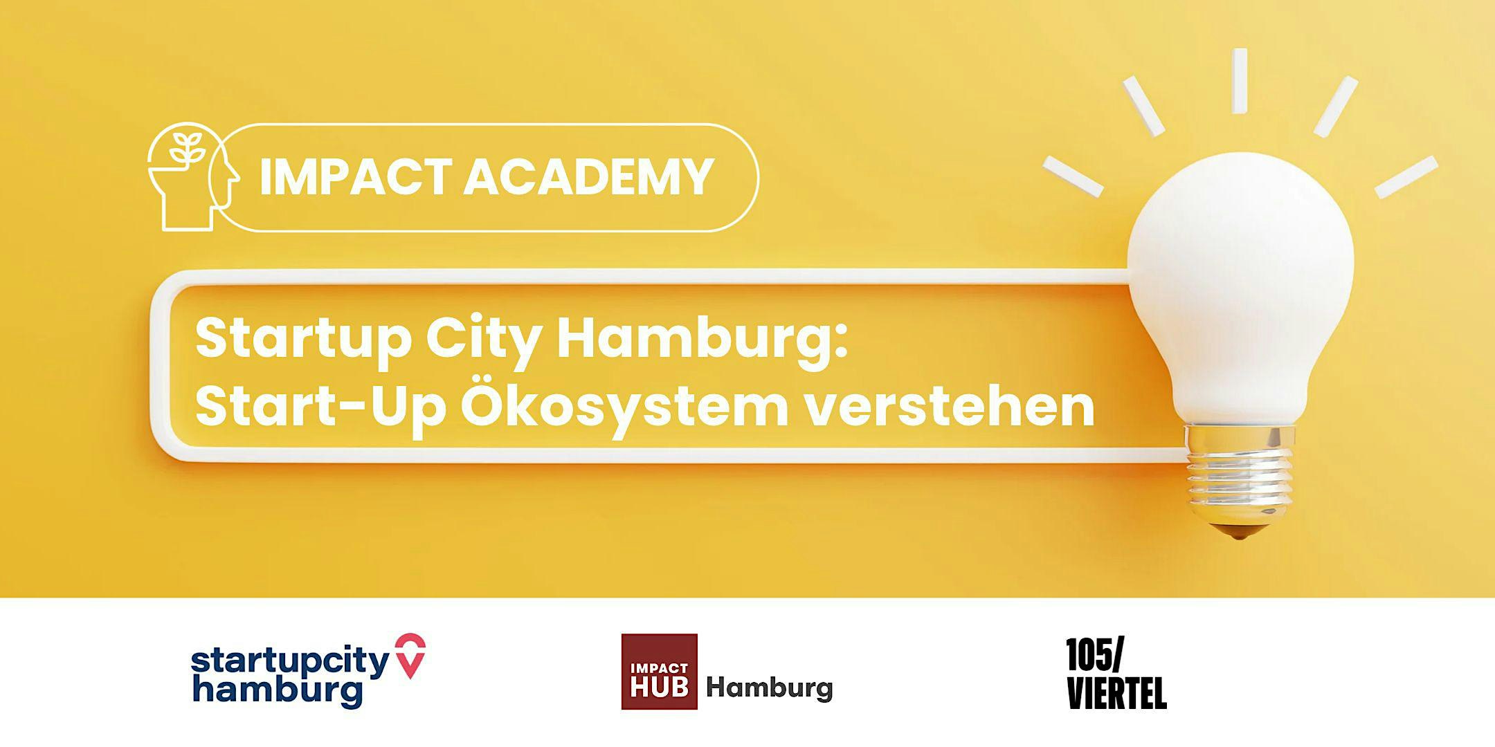 Impact Academy: Startup-Ökosystem verstehen