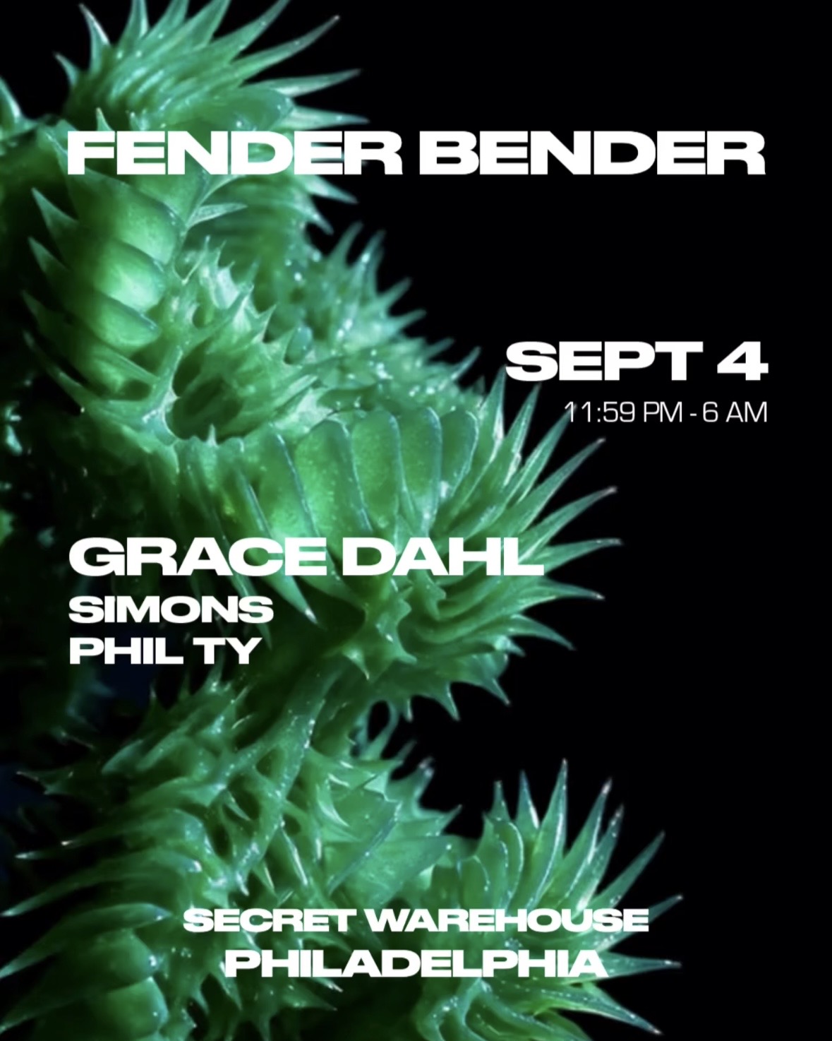 Fender Bender: Grace Dahl