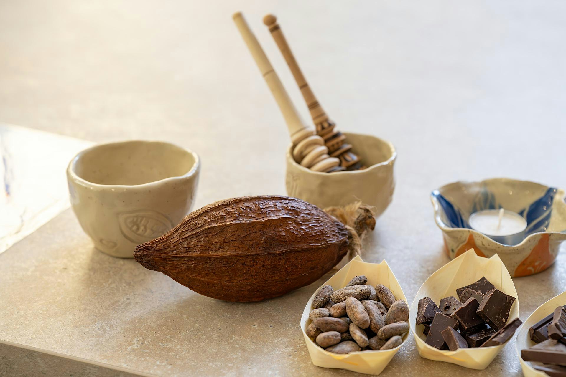 Mug Making and Chocolate Tasting