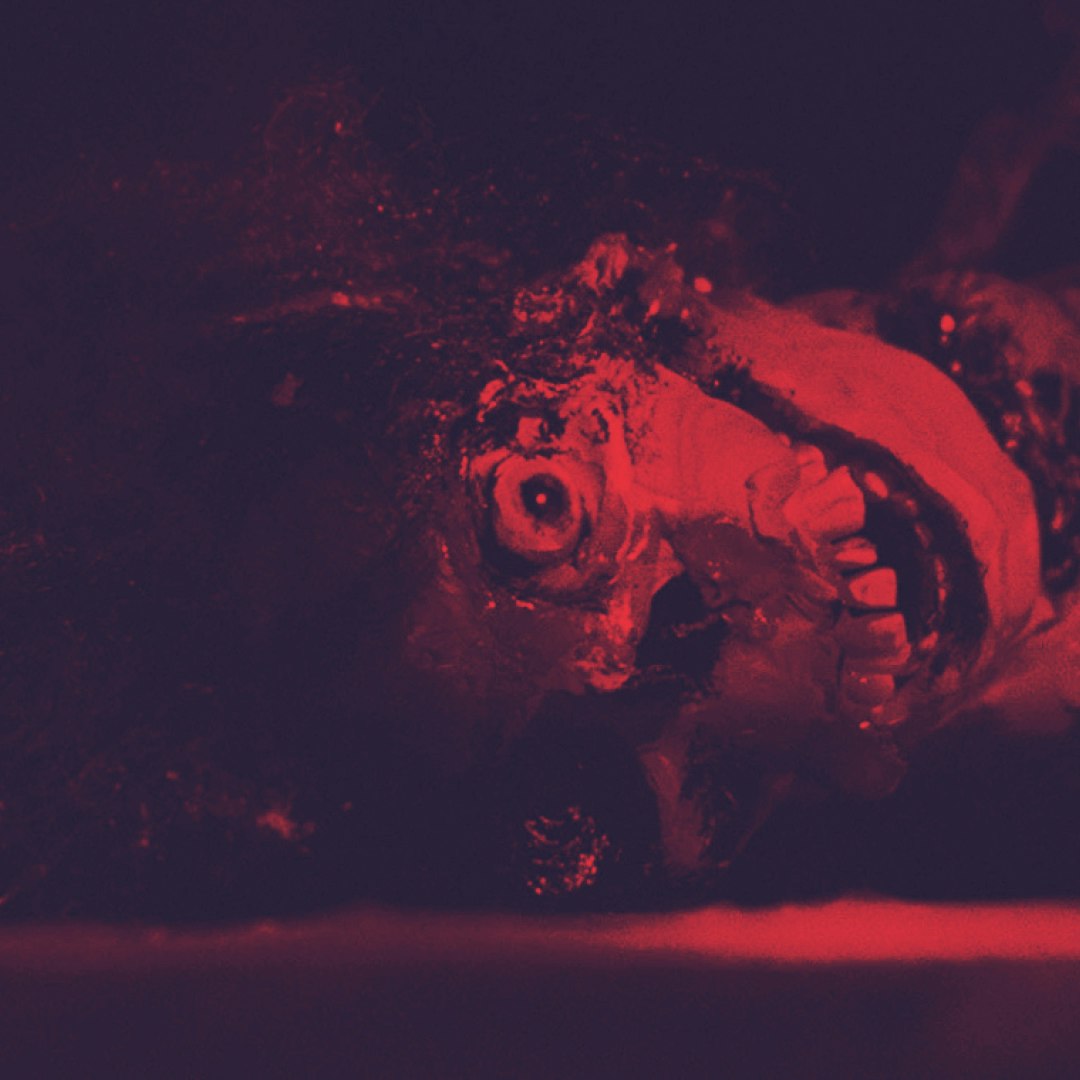La notte dei morti viventi