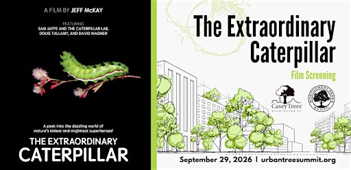 The Extraordinary Caterpillar Film Screening & Discussion