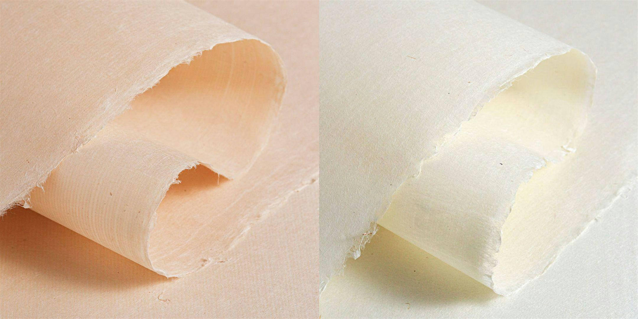 Celebrating Osaki Washi: Exhibition and Demonstrations