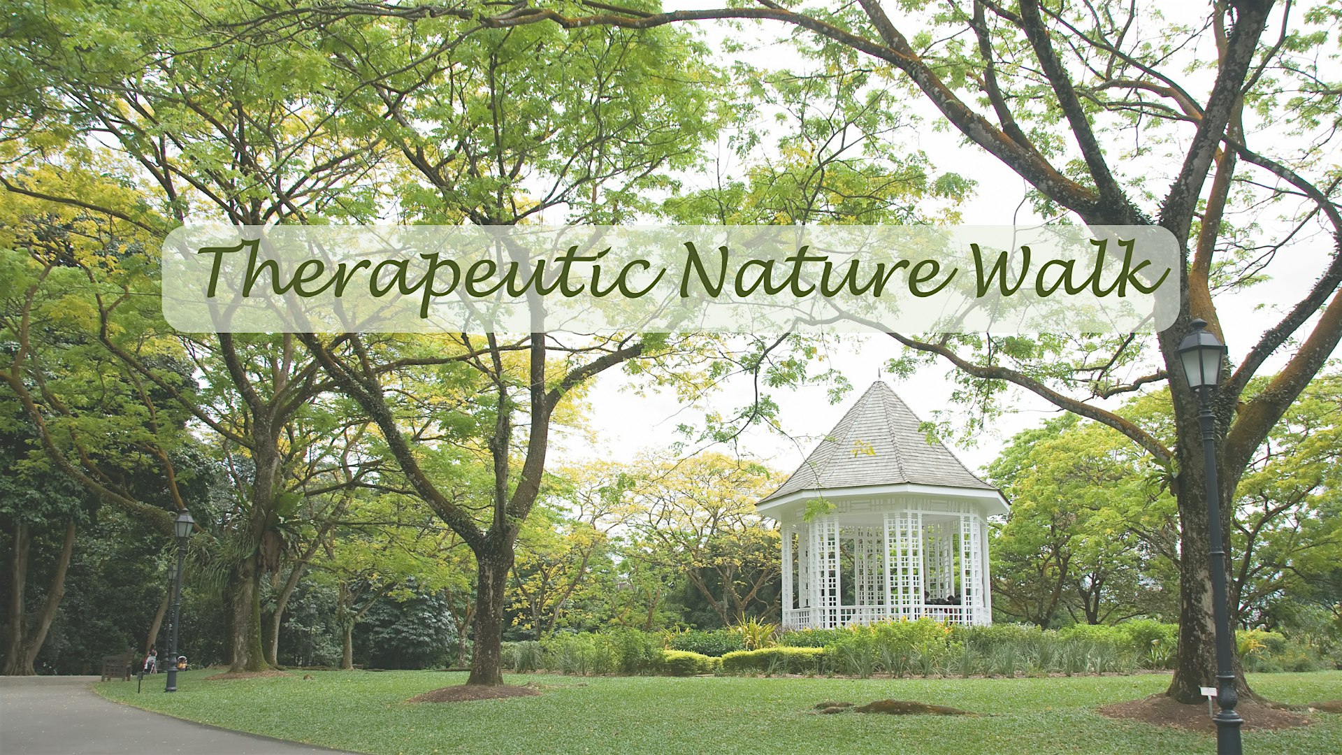 Therapeutic Nature Walk @Botanic Garden