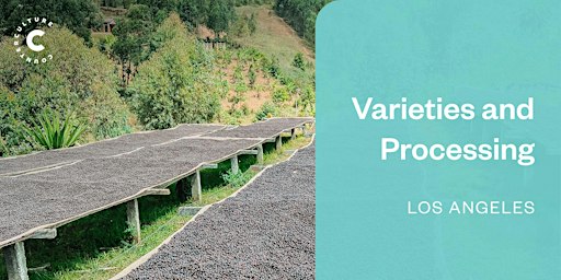 Coffee Origins: Varieties and Processing - Los Angeles
