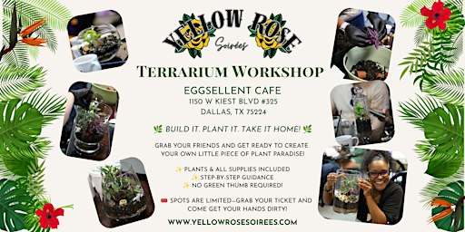 Enclosed Terrarium Workshop