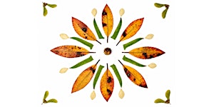 Fall Mandalas and Community Altar: an Afternoon of Creativity and Intention