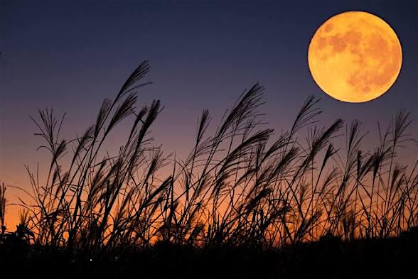 Harvest Full Moon Sound Bath with Reiki