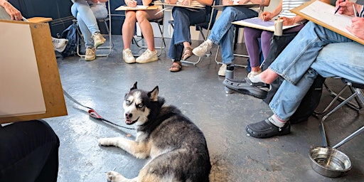 Dog Life Drawing at Kit.Form, Bristol - Autumn season