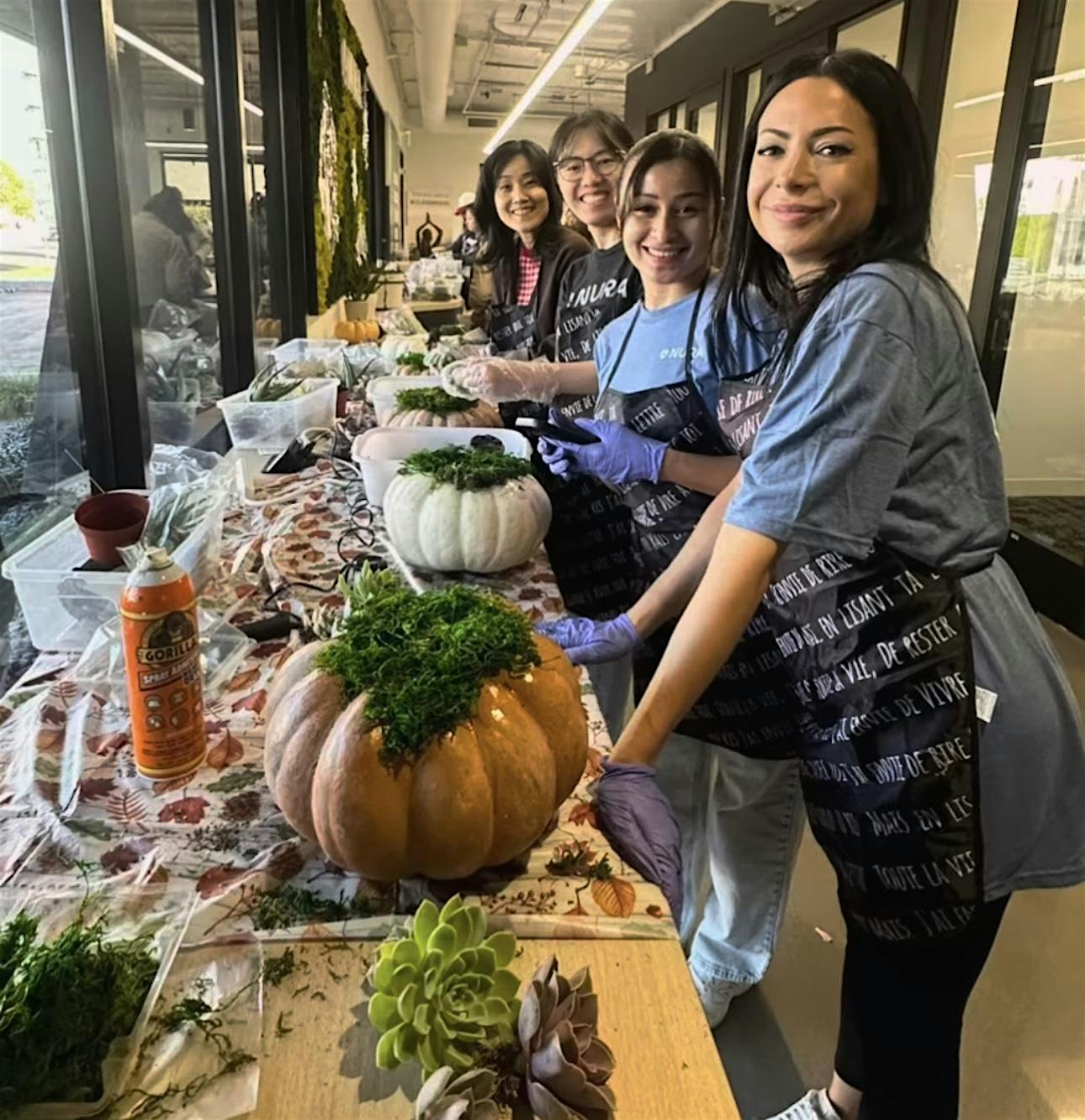 Succulent Pumpkin  Workshop LA