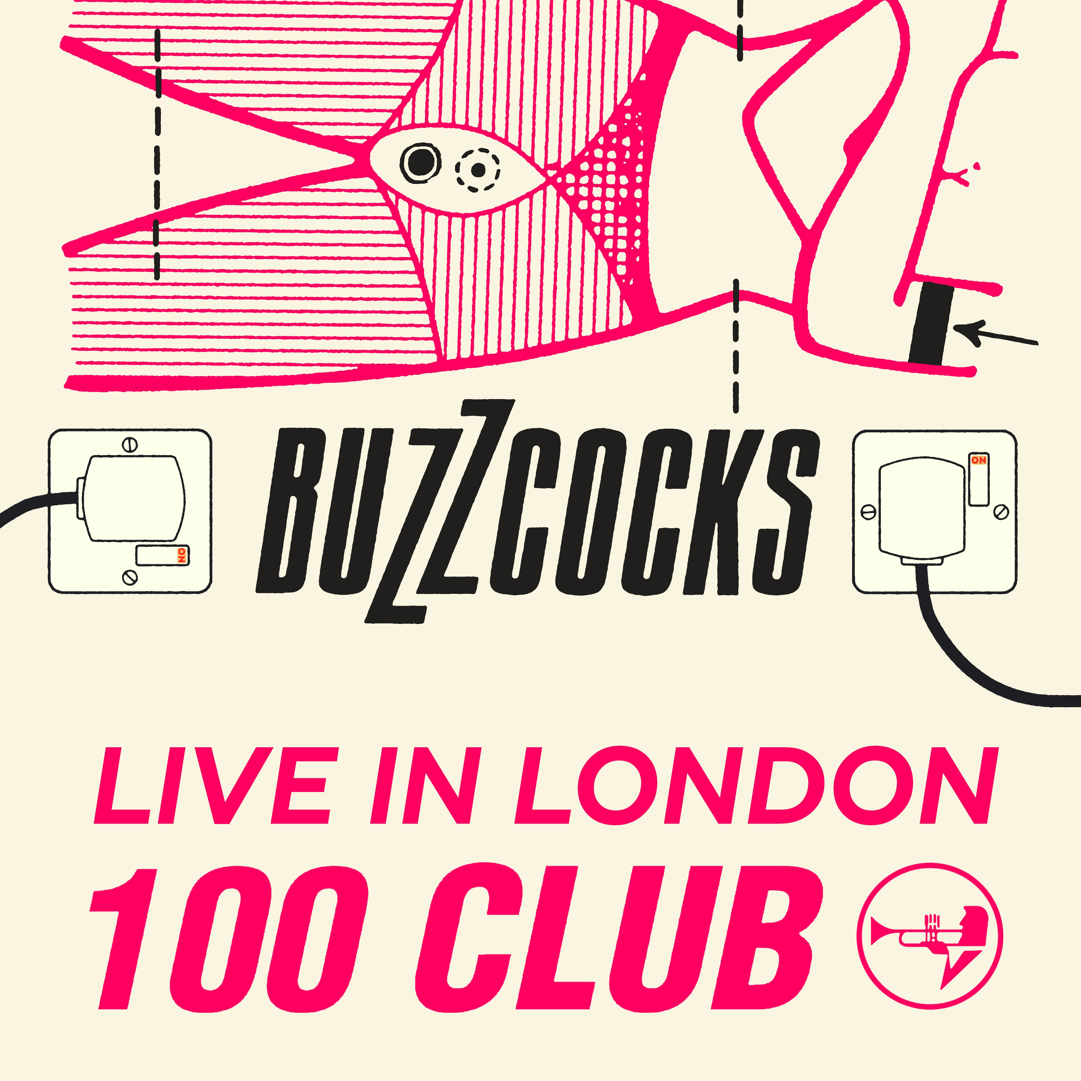 Buzzcocks