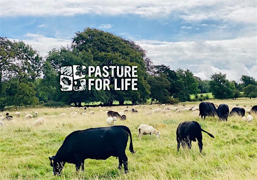 Regenerative Sheep Systems at Fernhill Farm