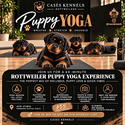 Cases Kennels Puppy Yoga