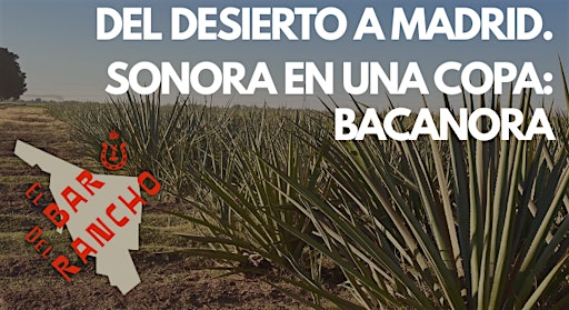 Del desierto a Madrid. Sonora en una copa: Bacanora Masterclass