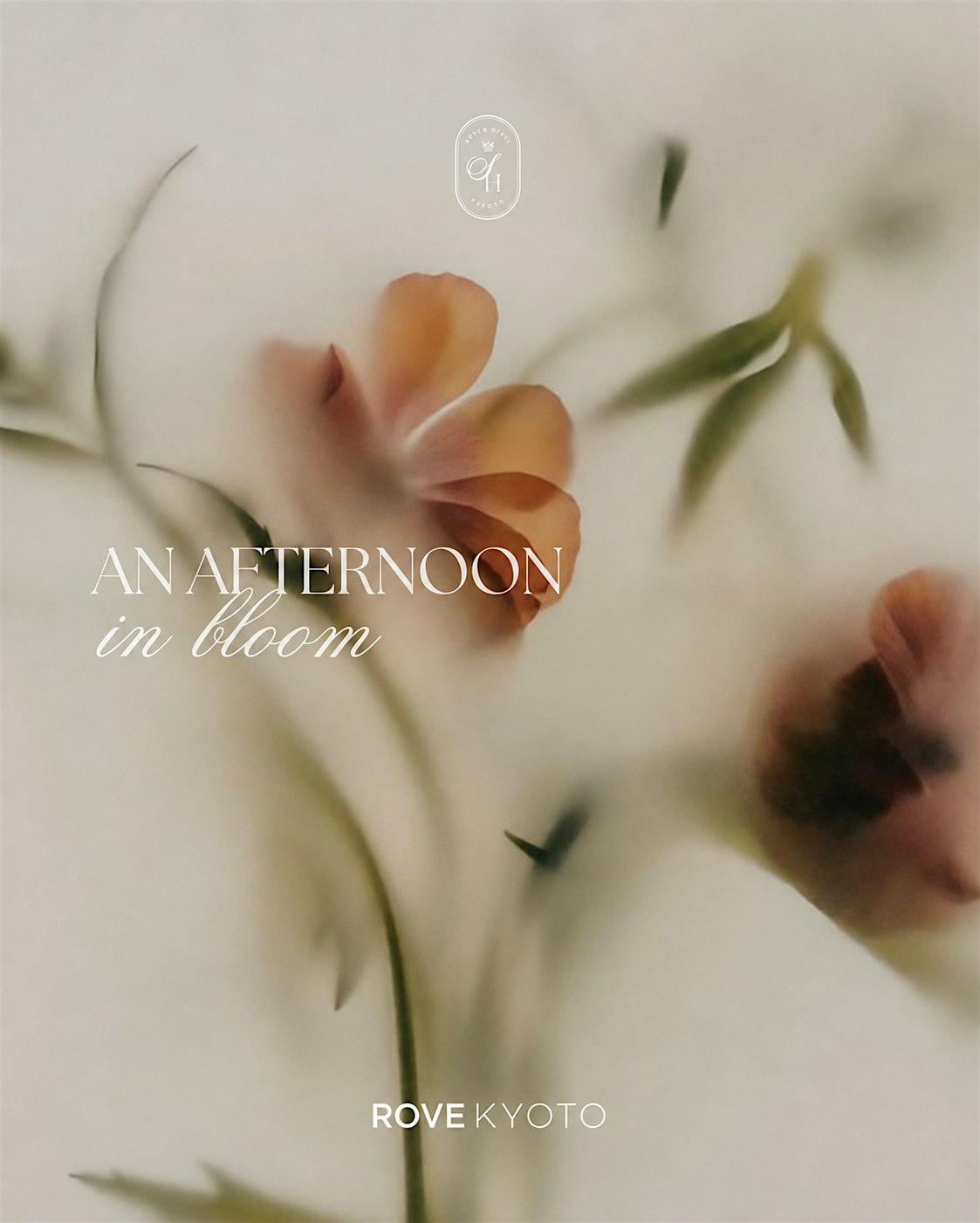 An Afternoon in Bloom