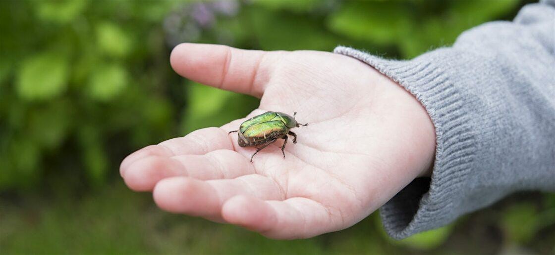 Découvre la nature cachée en ville