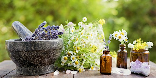 Workshop in Wien: Naturkosmetik – made by you