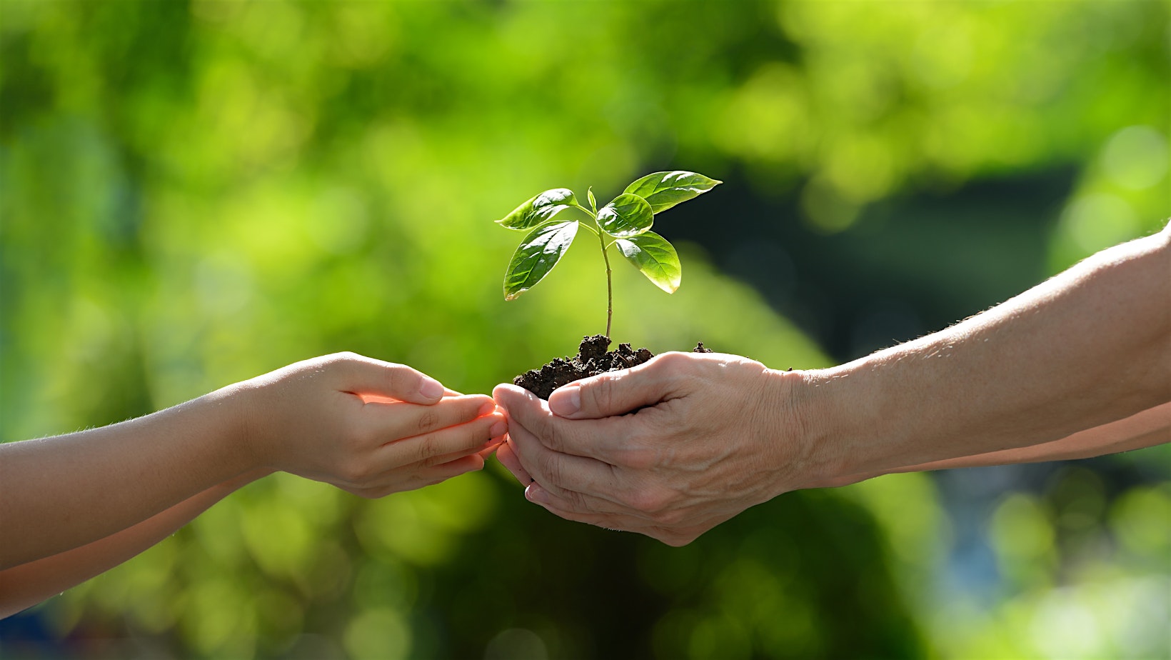 Resilient Harvests: Farming with the Climate, Not Against It